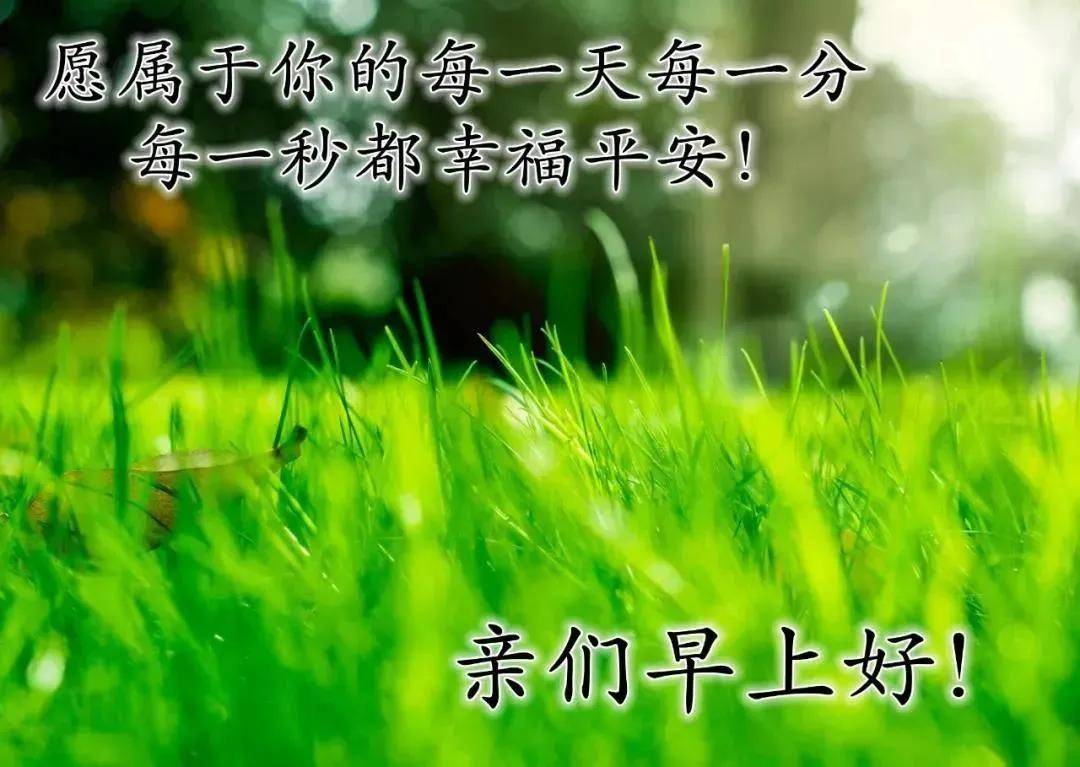 原创2021特别清新漂亮风景早安祝福语最美夏日风景早上好问候祝福语