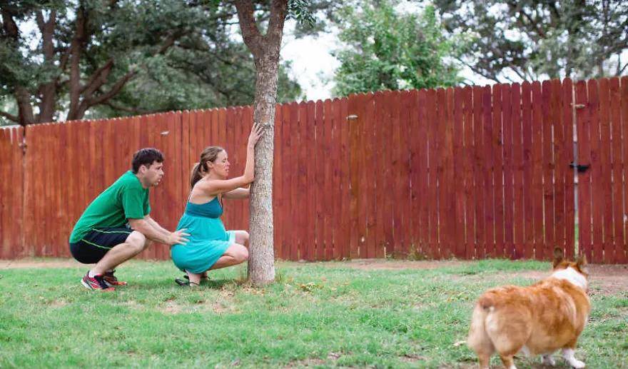 因为|还在说怀孕不能养狗？这两只柯基都进产房陪产啦