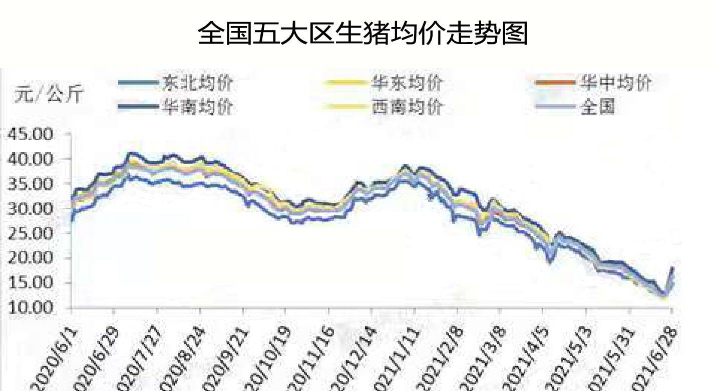 明日猪价最新行情走势 55fdaee957084f92bd98f538a848c4b1.jpeg