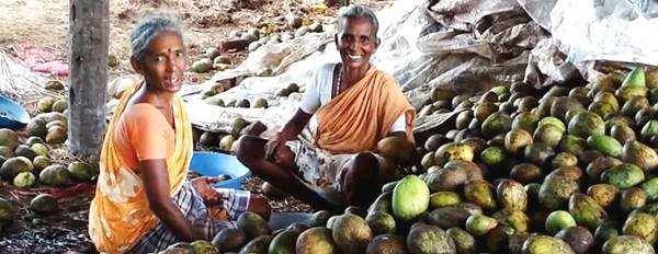 传统|吃了20年的小零食,今天才知道是印度生产的,看完制作过程:想吐