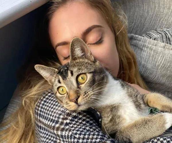 Zico|主子带一整包猫零食回家，妈傻眼：附近没人养猫啊！哪来得零食？