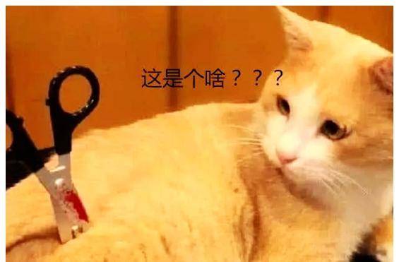 2022b011a3134975a1cf3e5b938c1089.jpeg