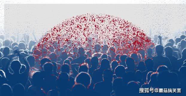 群体|群体免疫真的能保护我们远离新冠病毒吗？