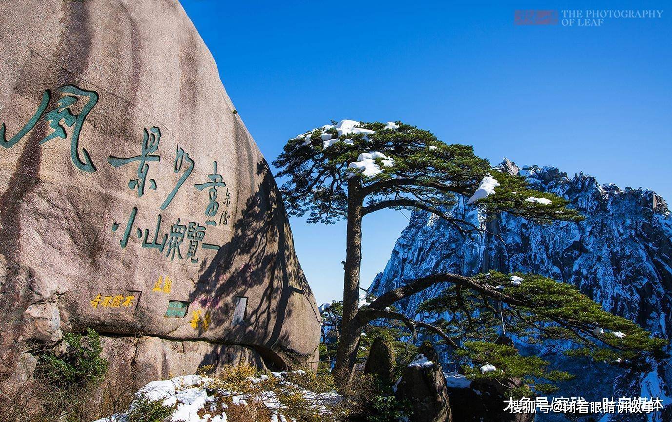 原创迎客松是黄山的标志100多年仍保持同一造型有人说这是棵假树