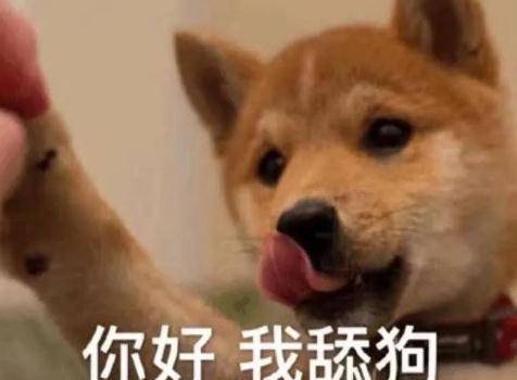 af2f2696264448c48e64a4a8f5ecba7a.jpeg