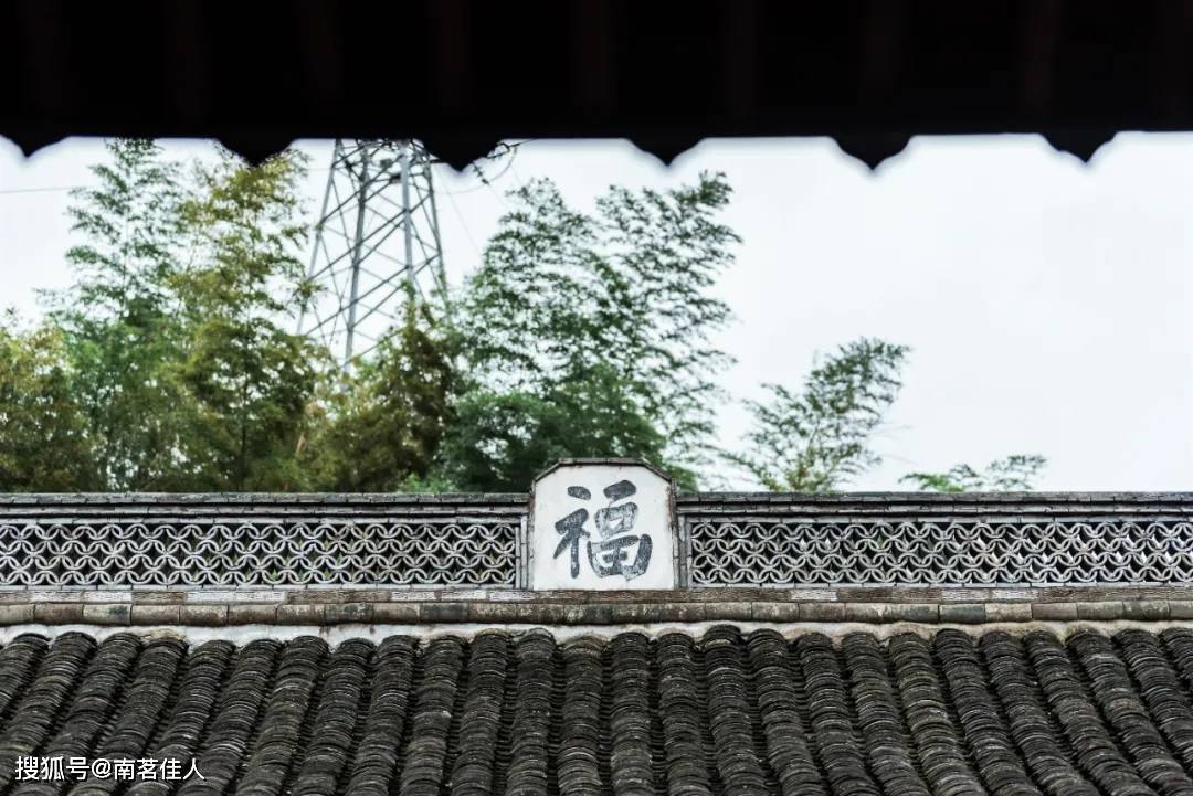 竹子|茂林修竹，遇见茶香