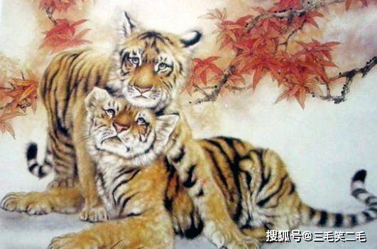 生肖蛇配生肖虎在12生肖之中,属蛇人和属虎人是有些不合的一对属相,他