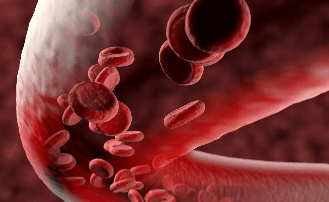 吃什么东西对血管有好处 f11e27a0c2ad411682195f45f26087be.png