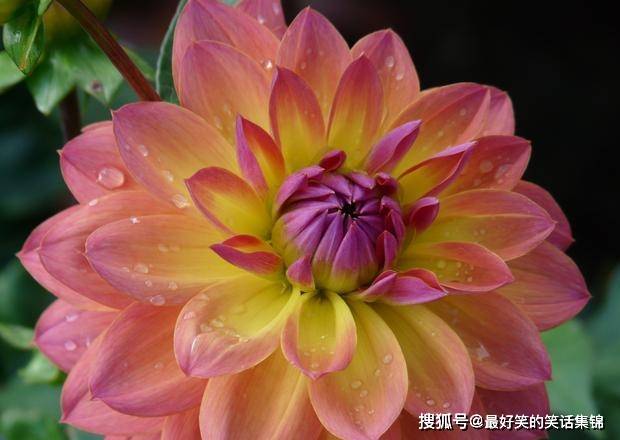 7 19 25星座运势 金牛发散思维 狮子随机应变 射手升职加薪 感情