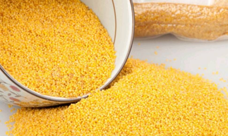 现在能种小米吗 1e2f6e0e3df7415d8cef7a4d90565db7.jpeg