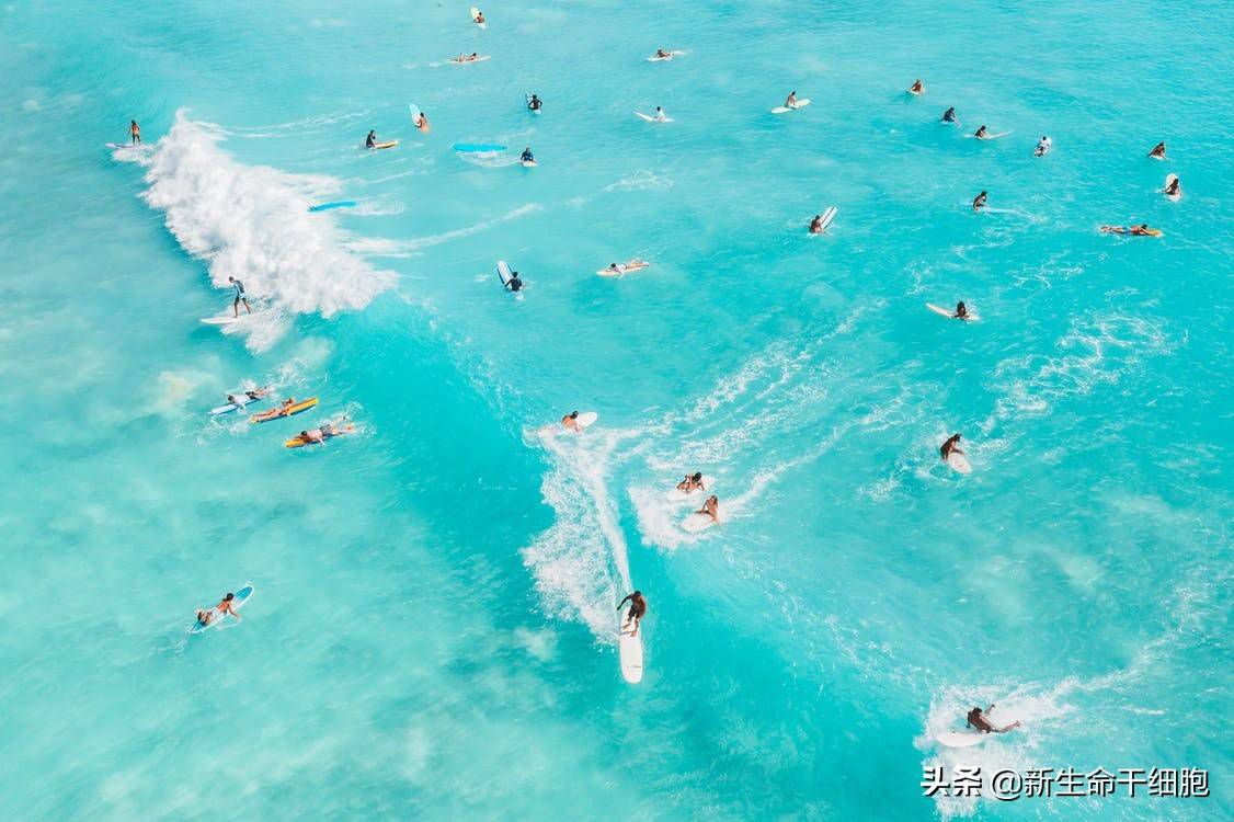 大小|夏季玩水要注意保护眼睛，这几个护眼装备不能少