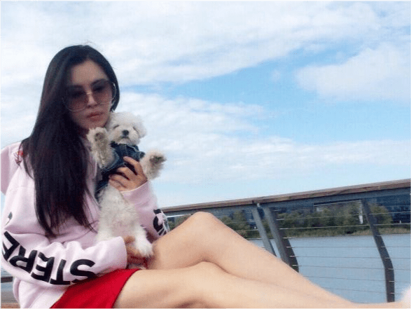 关键词|54岁王祖贤近照曝光！穿粉裙遛狗背影嫩得像少女，年轻美貌太罕见