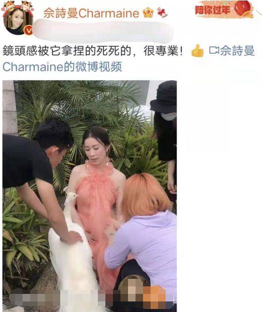 眼睛|佘诗曼在家亲自动手美发，瞪大眼睛比耶搞怪自拍，笑容开心似小孩