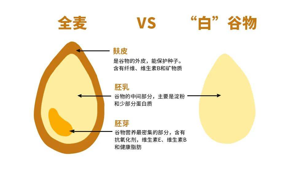 品类|爆卖4.4亿片全麦面包后，舌里革新千亿轻食赛道