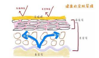 产品|过度清洁是如何毁你的肌肤？你可能正在经历