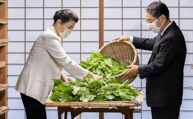 营业|纪子妃学雅子皇后仙气飘飘！一身白与文仁营业好养眼，再现狐狸笑
