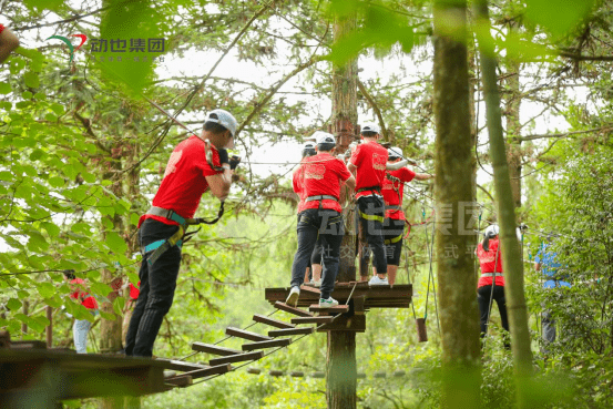 重庆旅游团建必选之地,去过的都说好!丨重庆旅游丨重庆团建