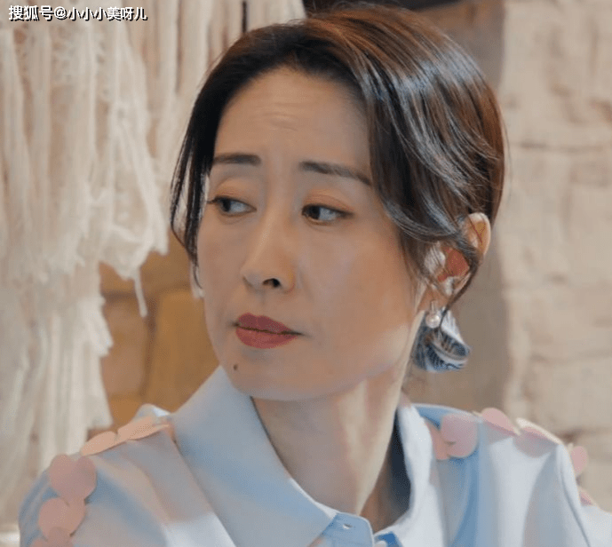 张嘉译刘敏涛沙溢主演的电视剧对你的爱很美