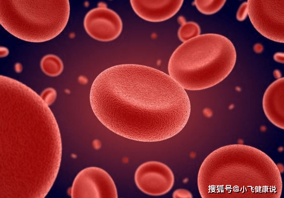 肾脏|肾脏硬化还有的救吗？做好此3点可稳住肾功能，尿毒症不会来袭