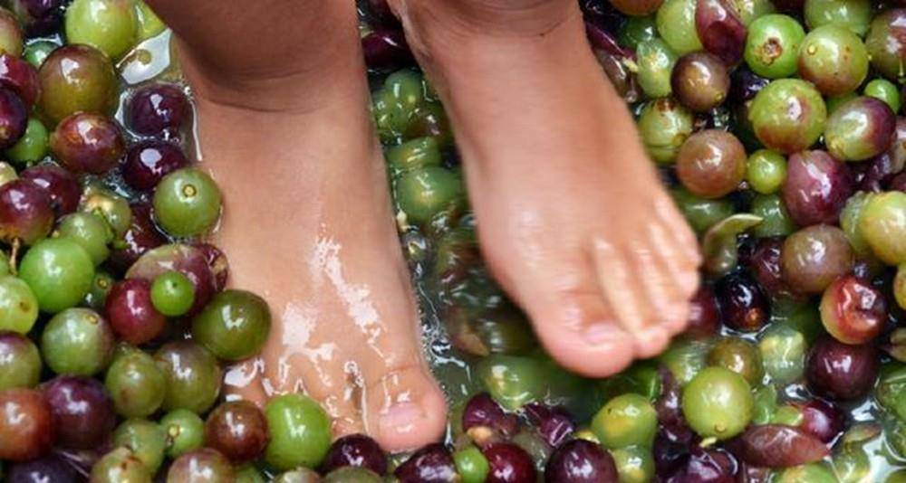 机器|为什么“少女光脚”能踩出顶级葡萄酒?原来有这好处,真是涨见识