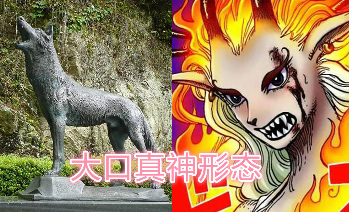 原创海贼王1020话情报大和果实能力曝光罗宾暴走ko黑玛利亚