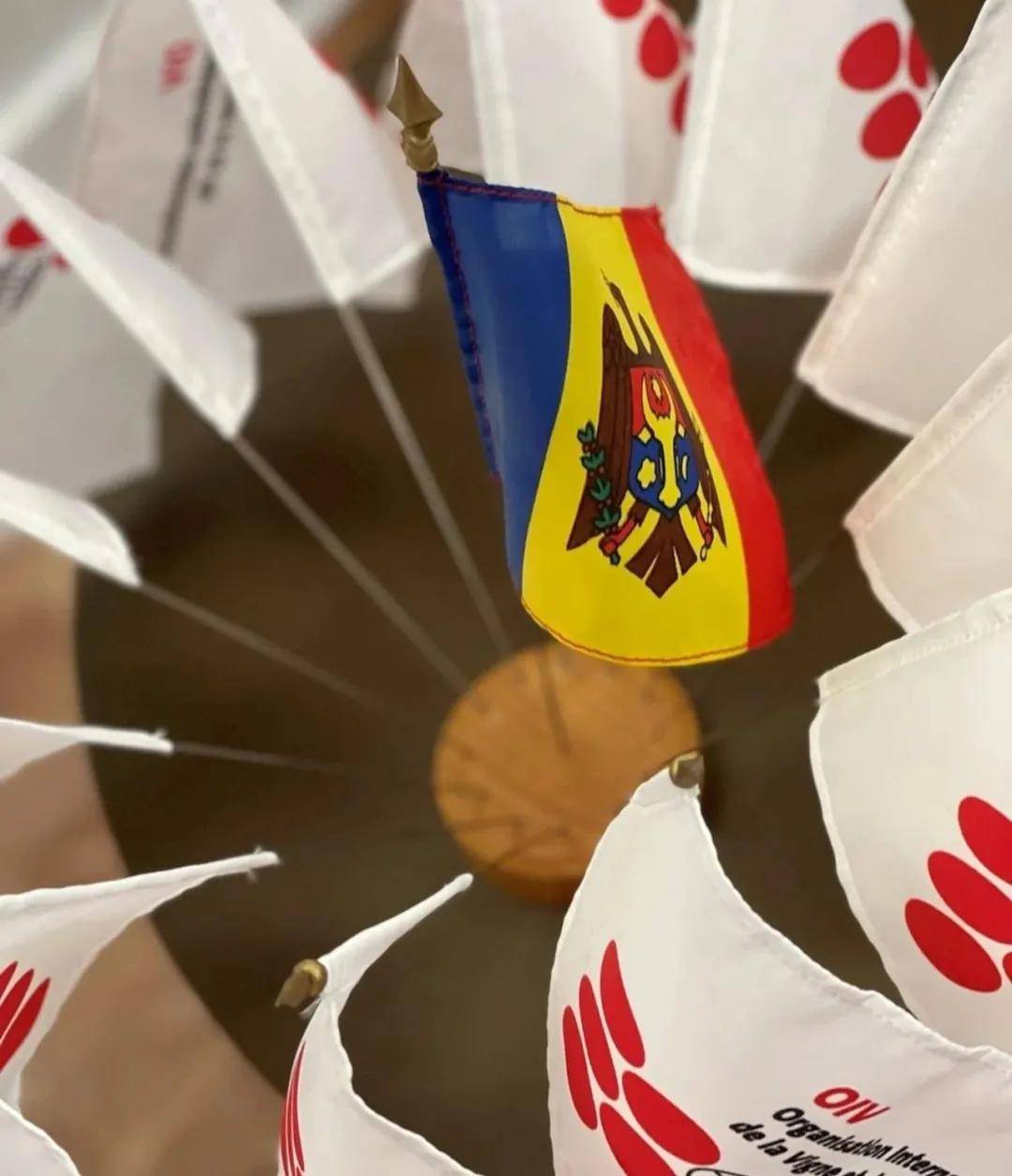 国家|国际葡萄与葡萄酒组织第19届大会结束,摩尔多瓦获更多关注!