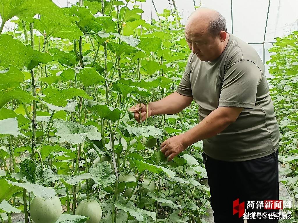 牡丹区沙土镇房庄村：文化墙绘扮靓美丽乡村