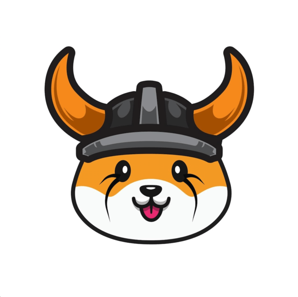 floki inu 通过币安智能链扩展实现估值 100 亿_加密