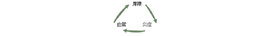 什么|佳恩生物科技:什么是皮肤炎症？到底该如何抗炎？