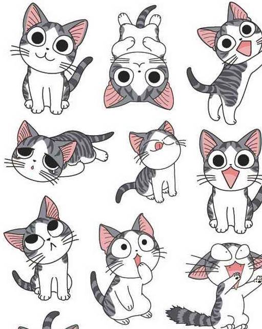 动画片|起司猫是什么品种呢？美国短毛猫都叫起司吗？