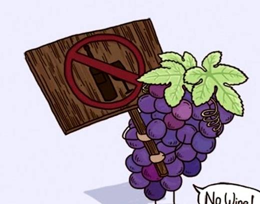 霸君|一组搞笑却充满深意的水果漫画,第一眼就看出寓意的有几个?