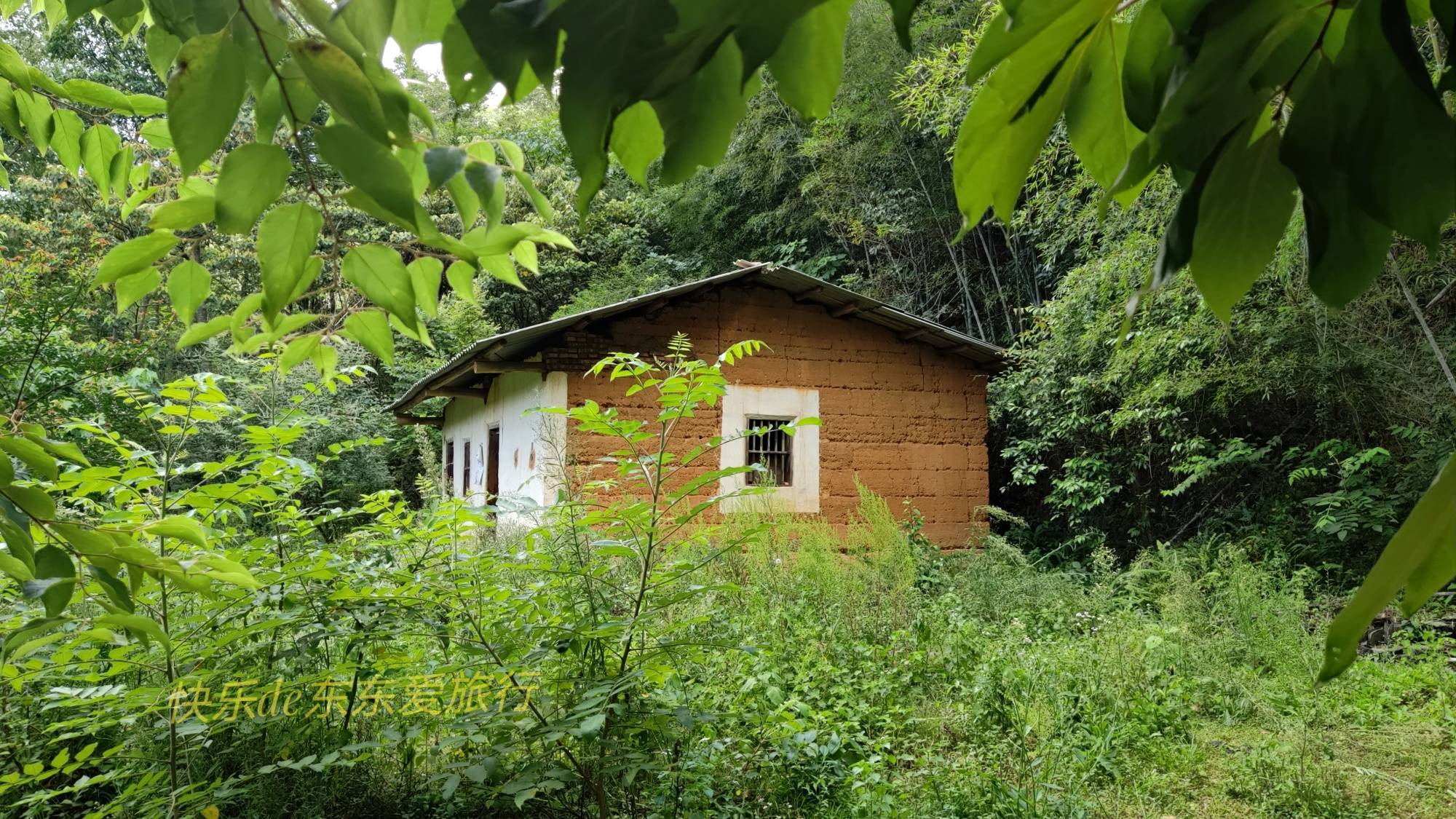 红色老区今成无人村，松源化联村避暑好地方，特产蜂蜜竹笋和红菇