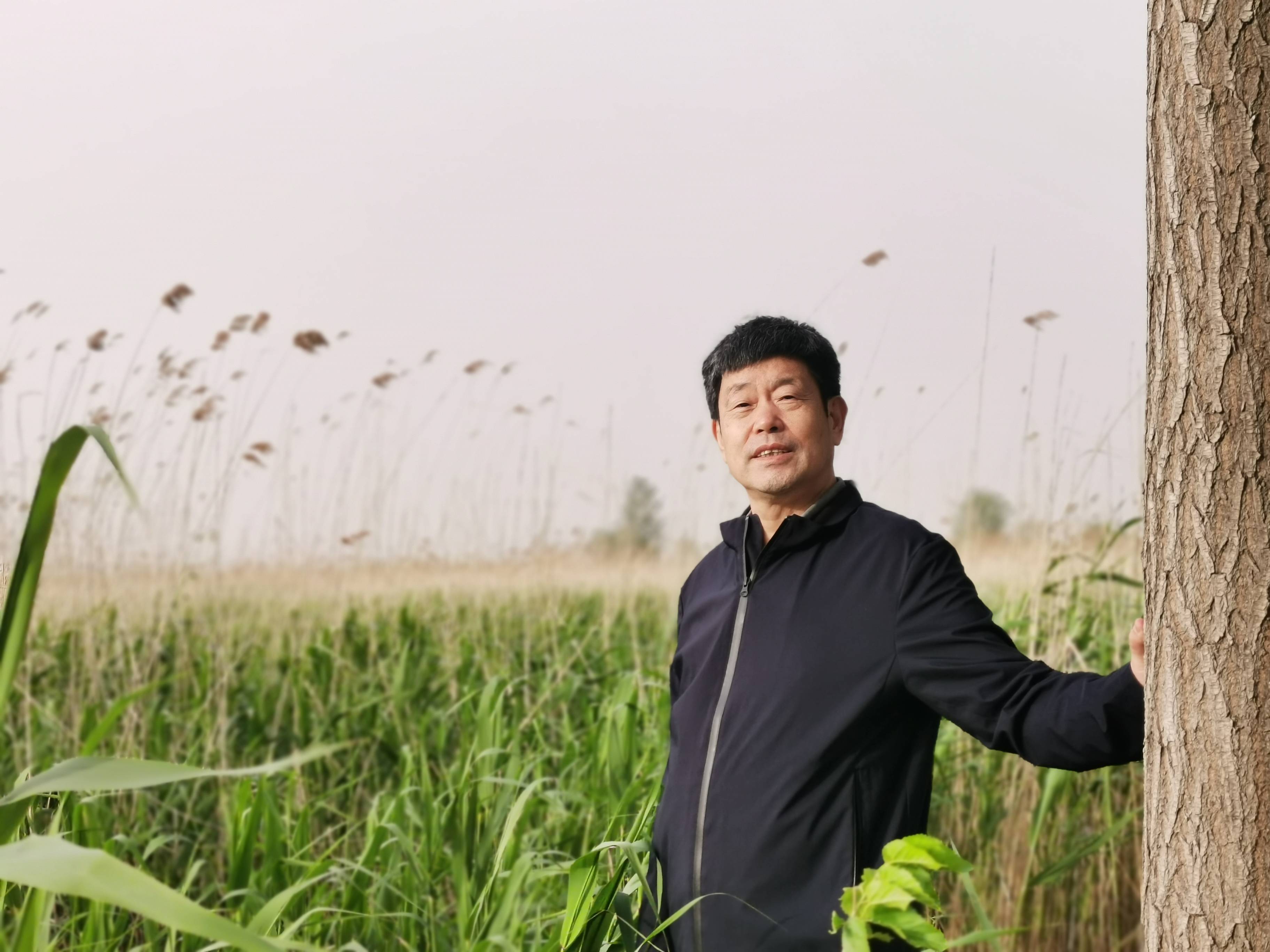 当代诗人陈廷佑卷