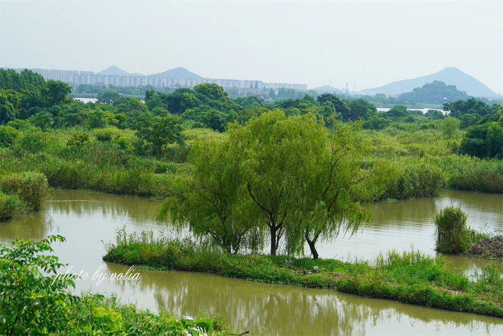 醉美下渚湖可以近距离观察东方宝石朱鹮还能在酷暑夏日玩雪哦