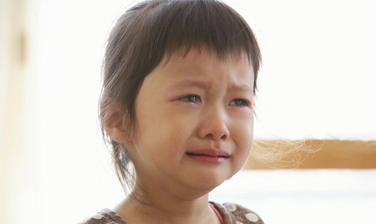 治疗|柯基躺在马路上，只有眼睛能动，路人纷纷躲避，直到一个女孩出现