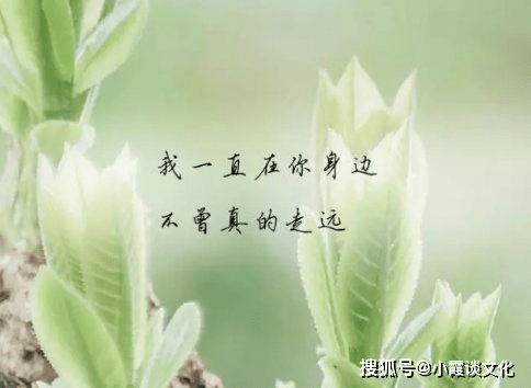 fc3e856fef8e4e90a610c57bc12674a6.png