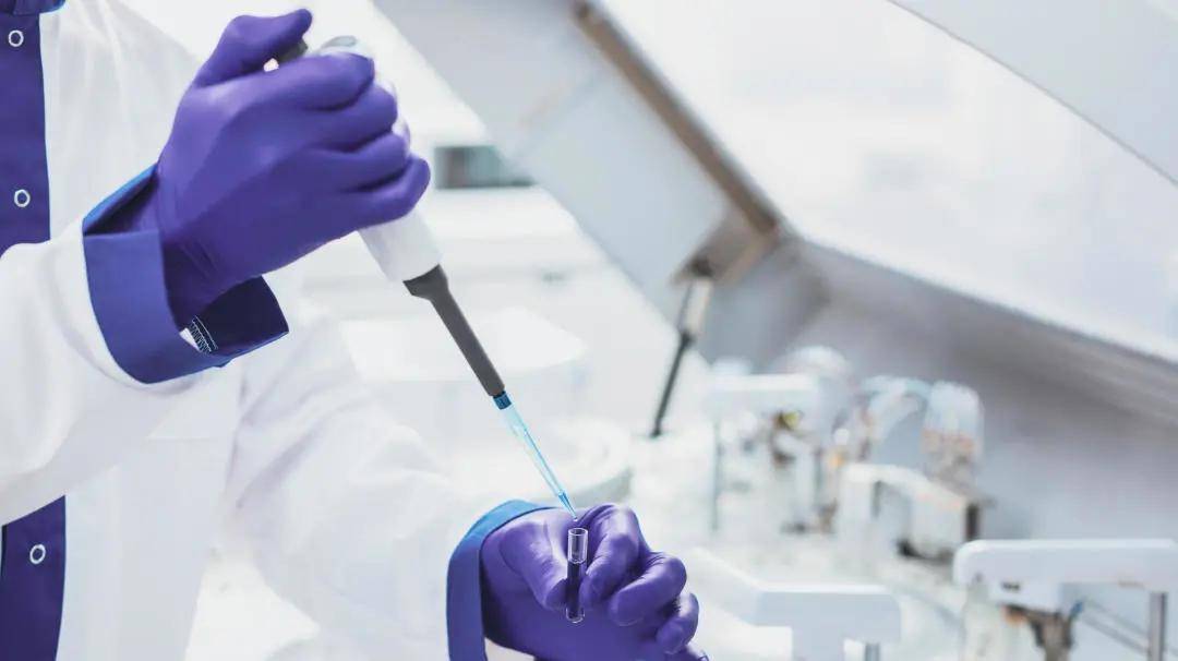 甲状腺|国康健康管家:体检报告中这些高异常指标,不用找医生,也能看懂了!