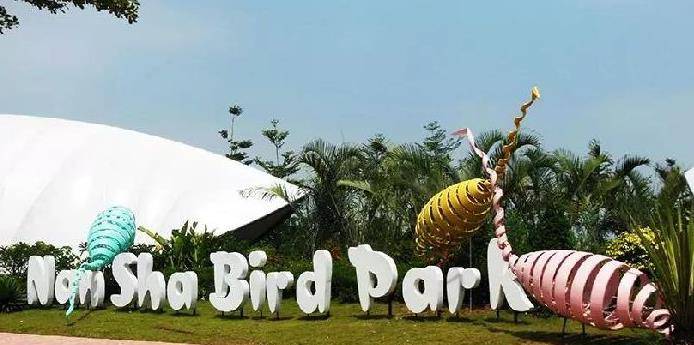 南沙水鸟世界：合影候鸟共舞孔雀，打卡东南亚园林，假装在国外
