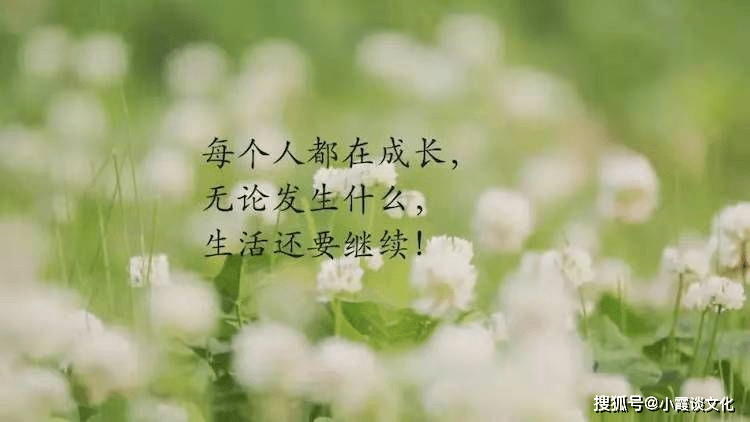 c153dff50b5d4f0b9673d1c18f025fe8.png