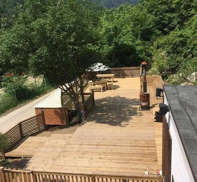 阿泽西|韩国小哥舍弃终身大事，只为养8只柯基！谁能拒绝它们的魅力？