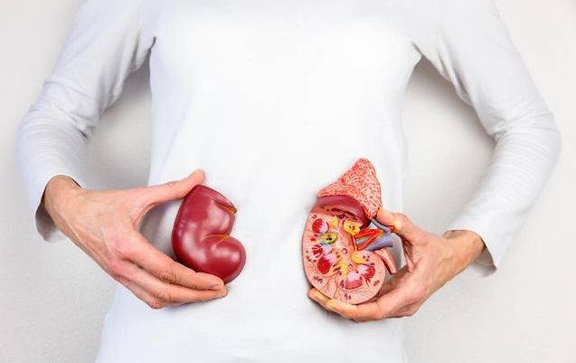 治疗|肾好不好,关键看这个“指标”!一旦升高,说明肾出了问题!