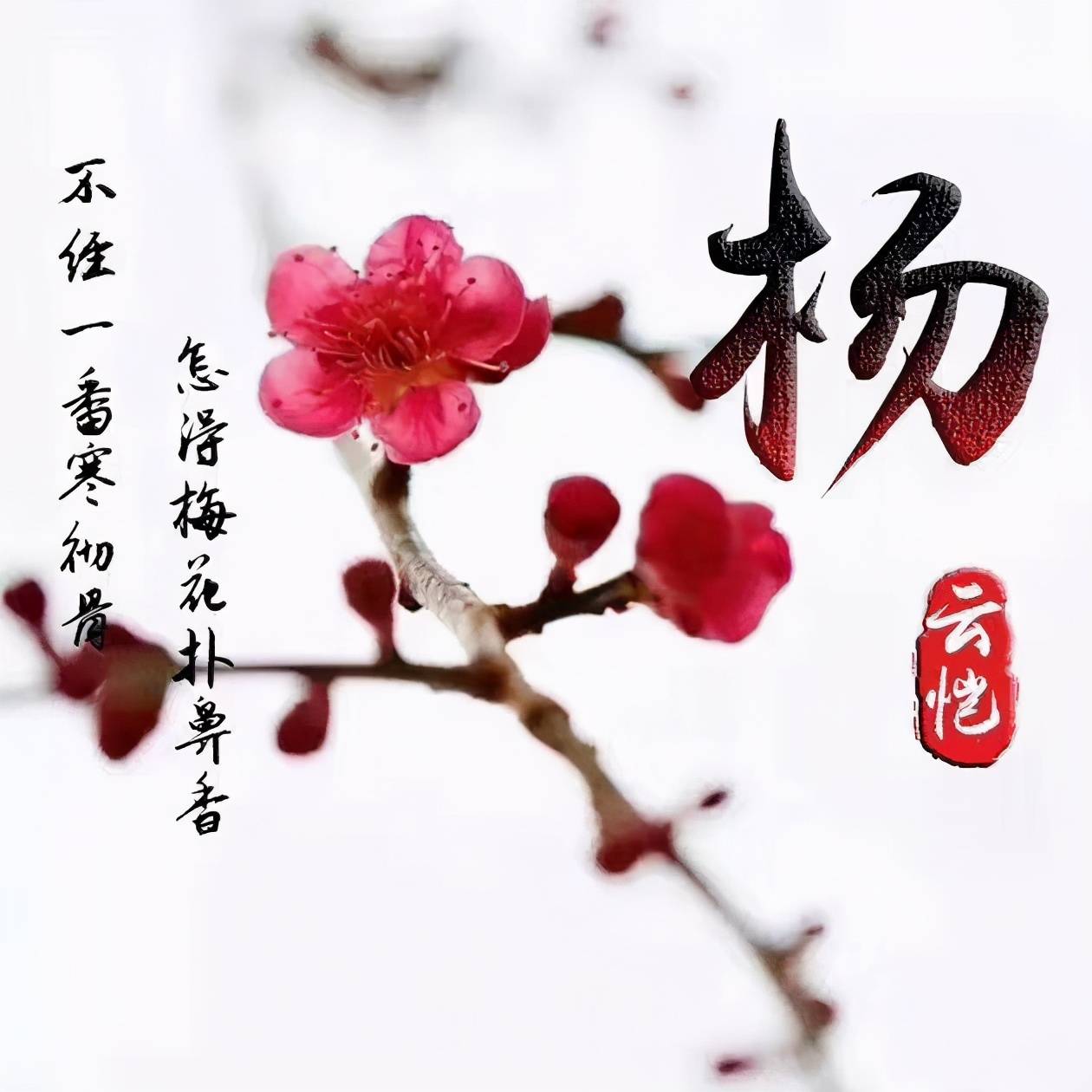明煊|你该换个微信头像了,2021最新3D高端励志签名头像,请查收