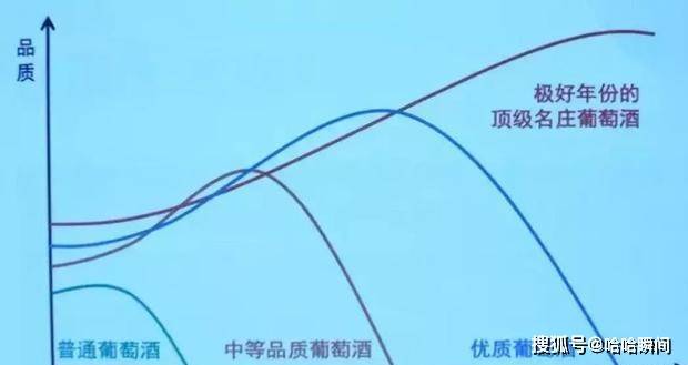 技术|1650年前的葡萄酒还能不能喝?考古学家纠结了100年,为何不打开