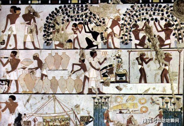 技术|1650年前的葡萄酒还能不能喝？考古学家纠结了100年，为何不打开