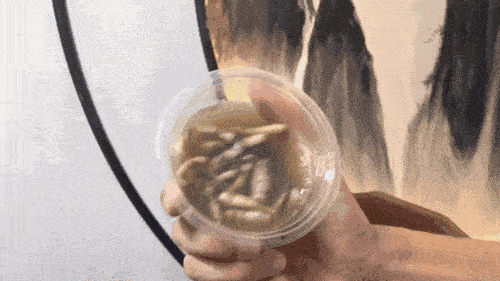 5ae773577213499c8c7e4bf2e6e2f5bc.gif