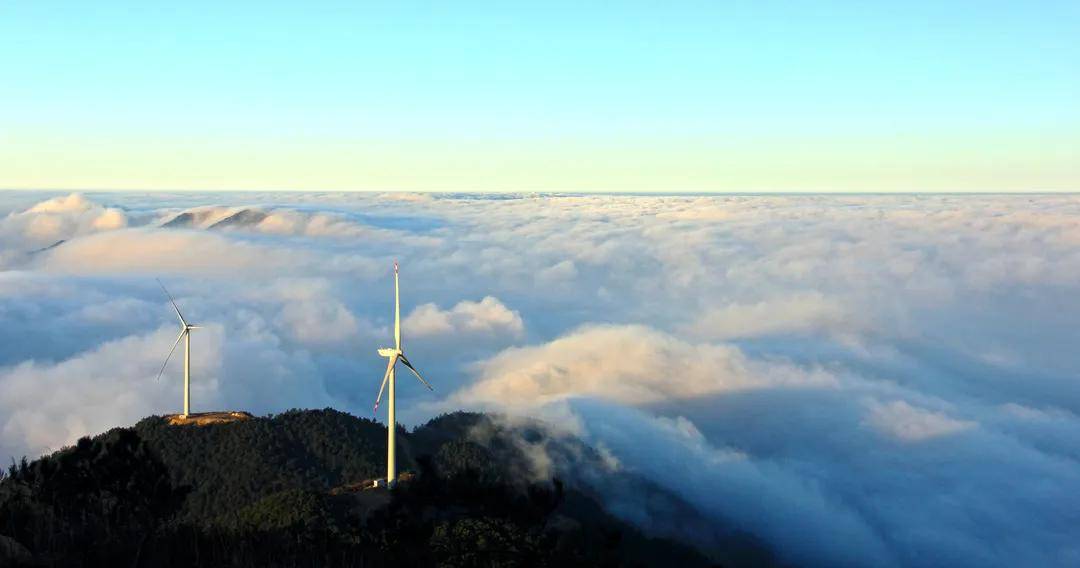 夏日长|大暑 | 长夏终有时，但惜夏日长