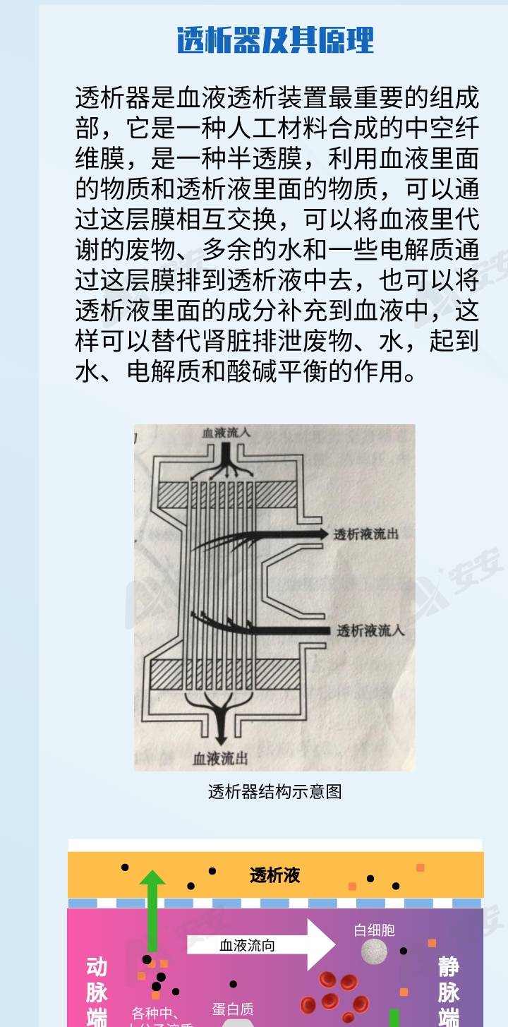 进行|关爱你的肾！看到血液透析你还敢乱来吗？