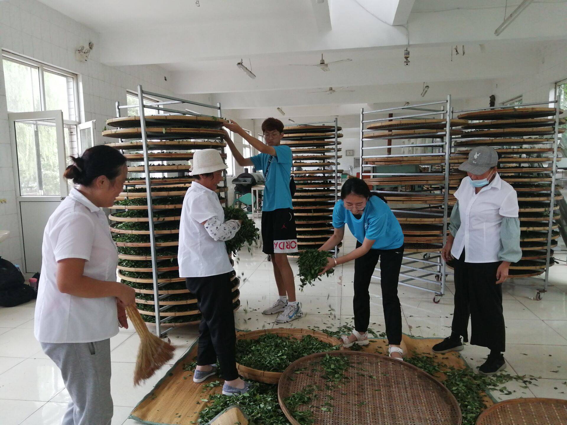 茶园茶企三步走,体验弘扬茶文化_茶叶