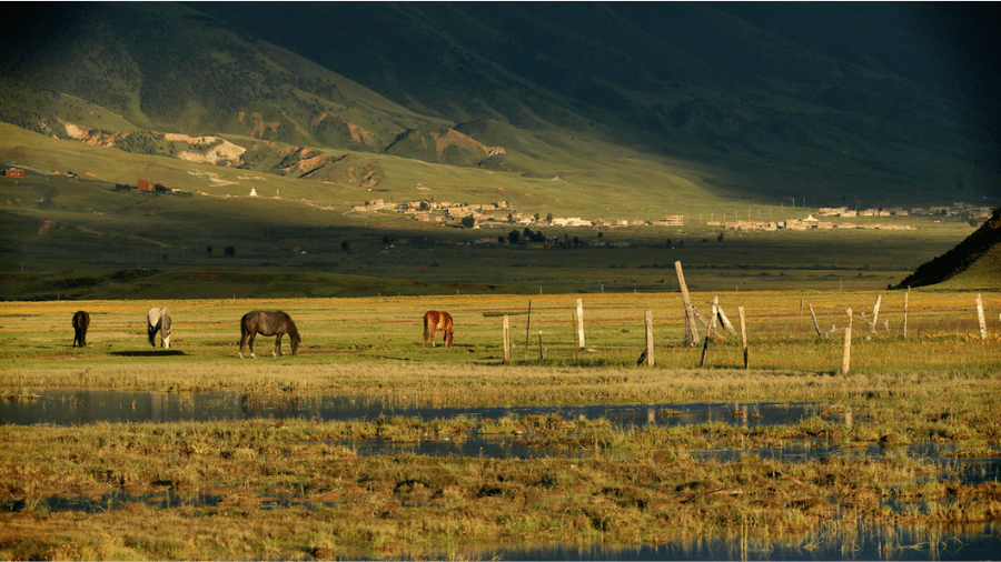 康定|溜溜的山上想跑马，那必然缺不了牧马人