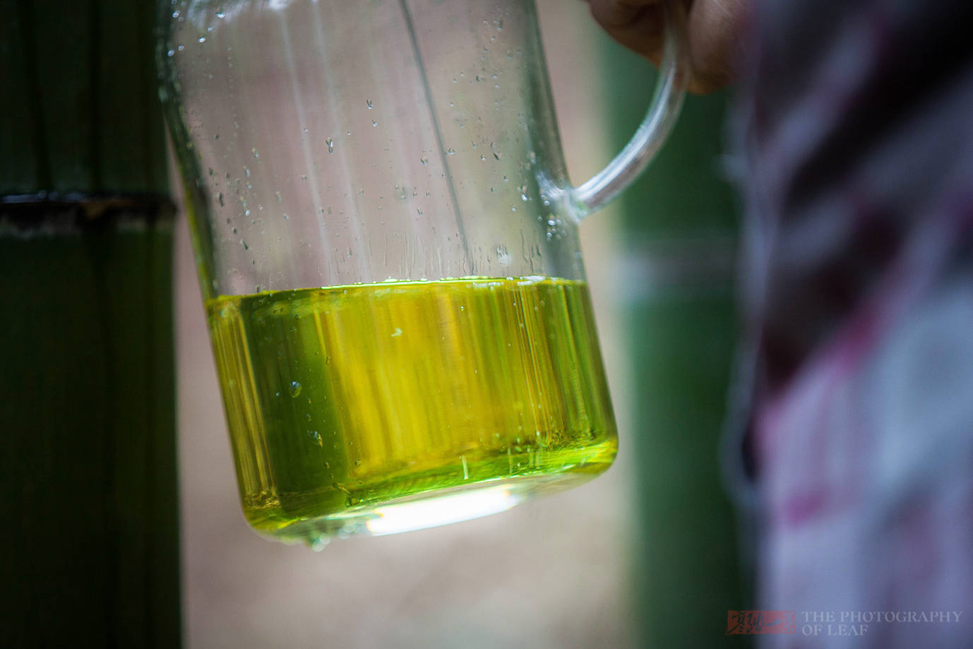 竹酒|亲眼看到活竹子里流出竹酒，为何还有人说是假的？这里的水很深